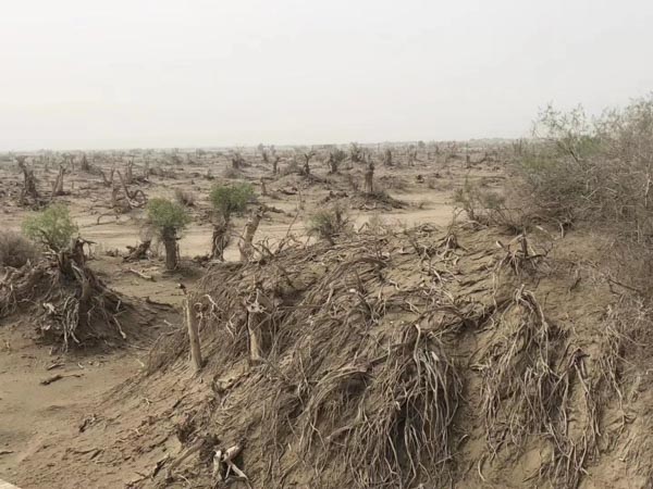 农村土地承包纠纷应该如何合理解决?上海动迁纠纷律师:这四个方法绝对有用！