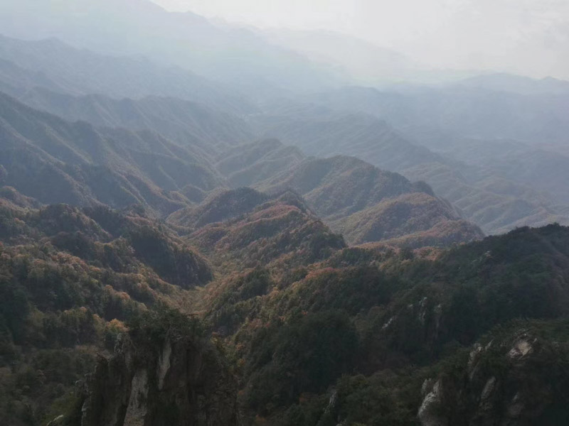 上海继承律师告诉你财产继承纠纷如何正确处理