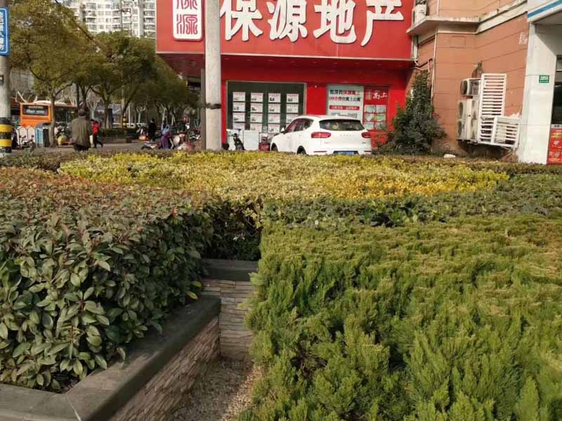 不签字被违法强拆，上海动迁律师咨询网教你如何提高拆迁补偿?